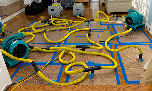 Professional Crawl Space Water Removal technician working in Imlay City, MI